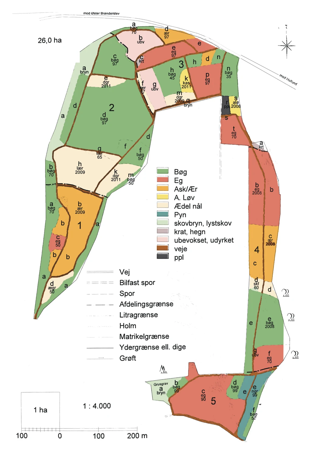 Skovkort over de 26 ha med afdelinger, træarter og veje